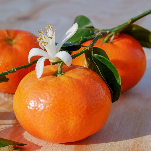 mandarins-g3aec4aa25_1920
