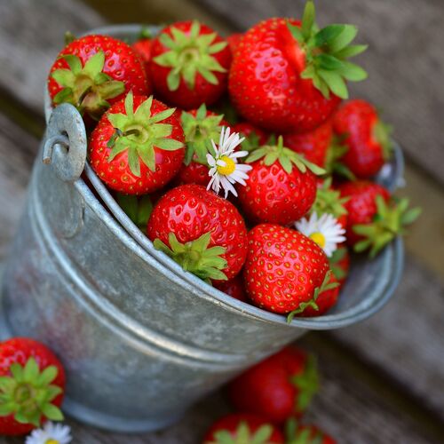 strawberries-g39f532211_1920