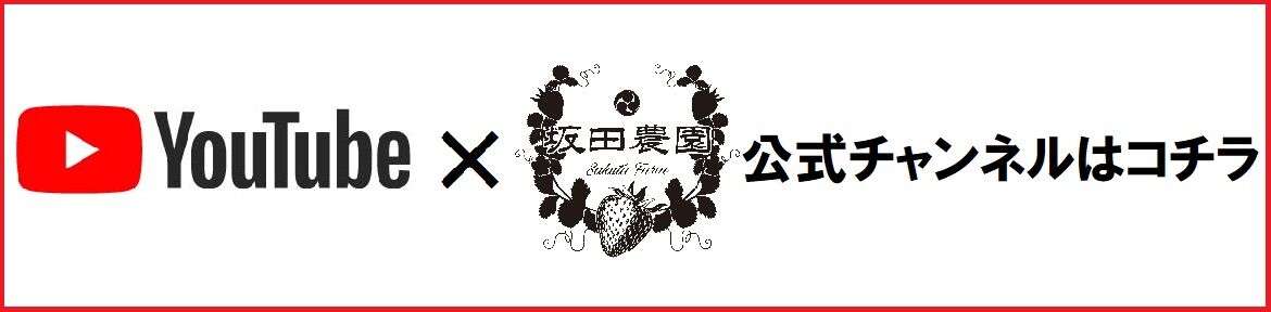Youtubeバナー